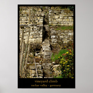 Affiches escalade de vignoble
