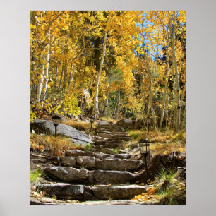Affiches "Escalier à l'automne", tremblement Aspen,
