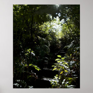 Affiches Escalier/sentier piéton rustiques dans la forêt,