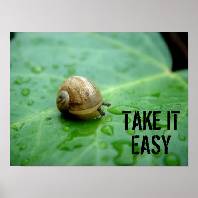 Affiches Escargot de bébé (Devant)