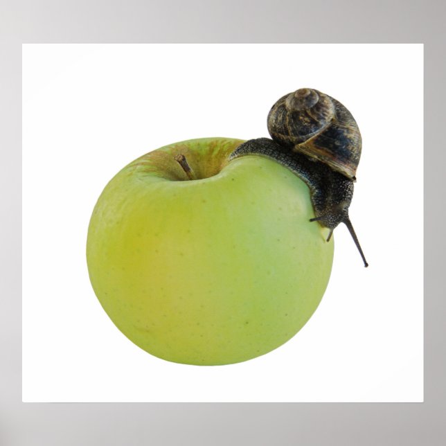 Affiches Escargot et pomme (Devant)