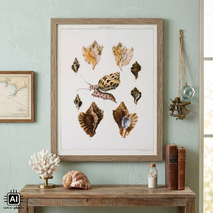 Affiches Escargots et mollusques anciens, organismes de la