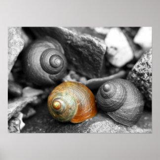 Affiches Escargots scolaires II