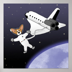 Affiches Espace Corgis