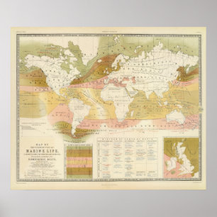 Affiches Espèce marine