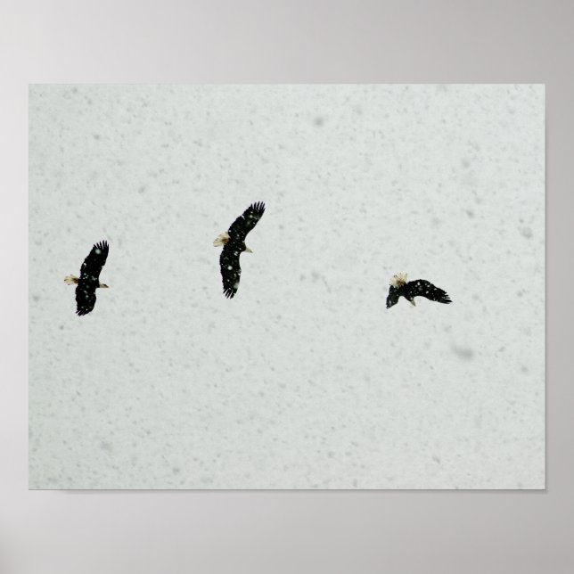 Affiches Esprit du vol (Devant)