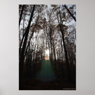 Affiches Esprit mystique de la forêt Imprimer #015