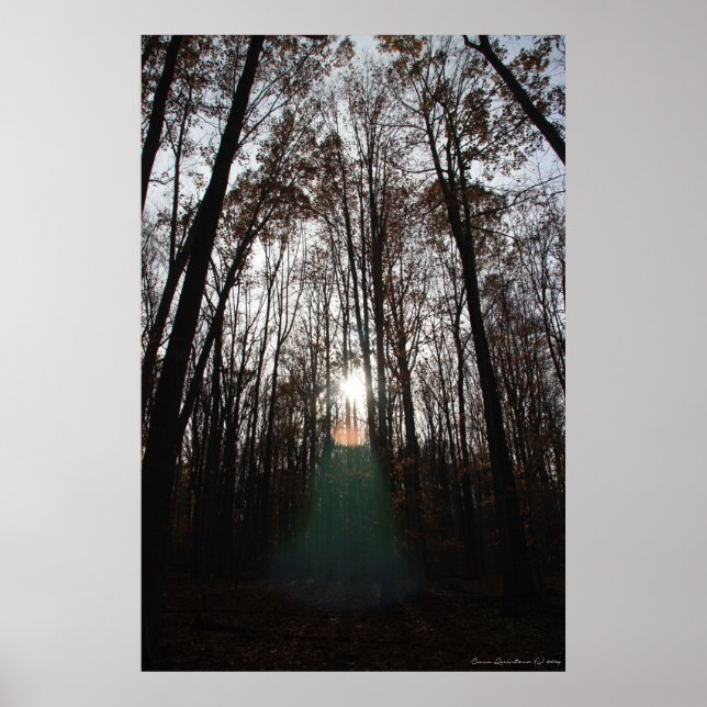 Affiches Esprit mystique de la forêt Imprimer #015 (Devant)