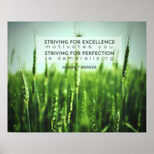 Affiches Essayer d'obtenir l'excellence