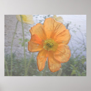 Affiches Essence orange