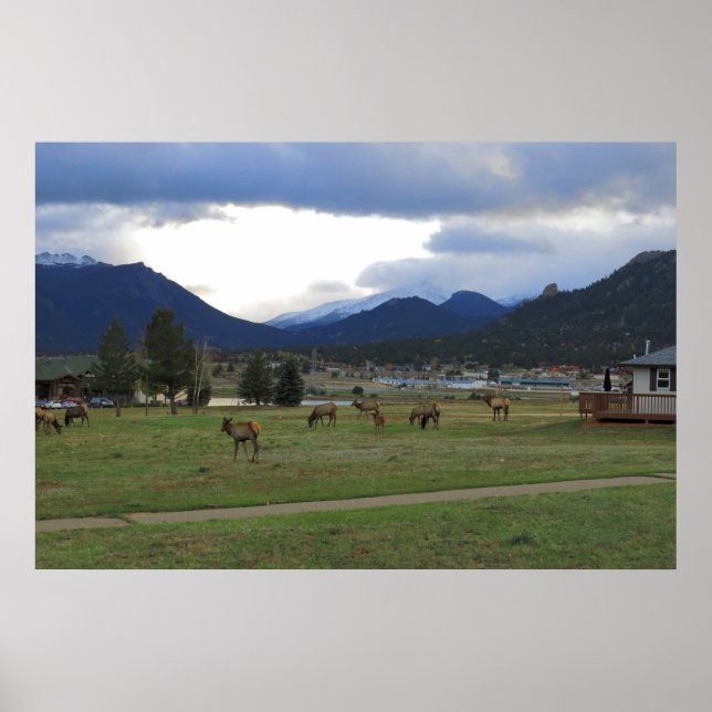 Affiches Estes Park, Co (Devant)