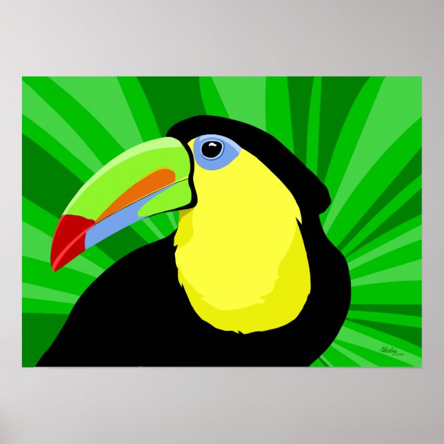 Affiches et impressions Toucan Art (Devant)