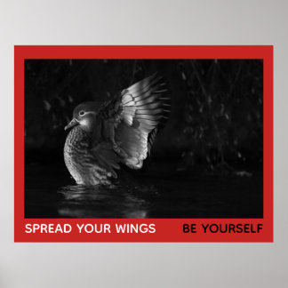 Affiches Étalez Vos Ailes Soyez Vous-Même Mandarin Canard P