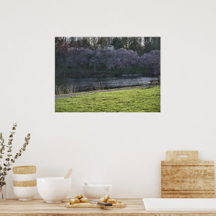 Affiches Étang aux arbres à fleurs roses jolis