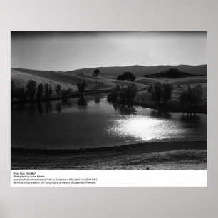 Affiches Étang près de Red Bluff par Ansel Adams