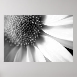 Affiches Étapes de la vie