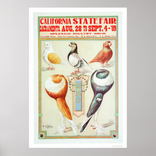 Affiches État 1909 juste de la Californie