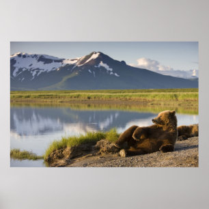 Affiches États-Unis, Alaska, Parc national de Katmai, Ours