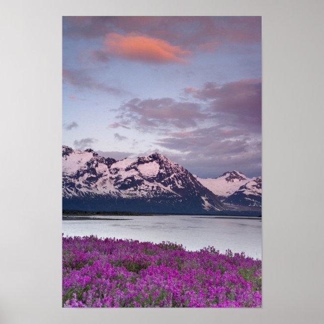 Affiches États-Unis, Alaska, vallée de la rivière Alsek. Vu (Devant)