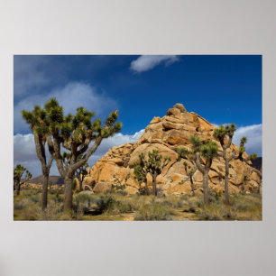 Affiches États-Unis, Californie, Parc national de Joshua Tr