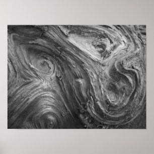 Affiches États-Unis, État de Washington. Douglass Fir