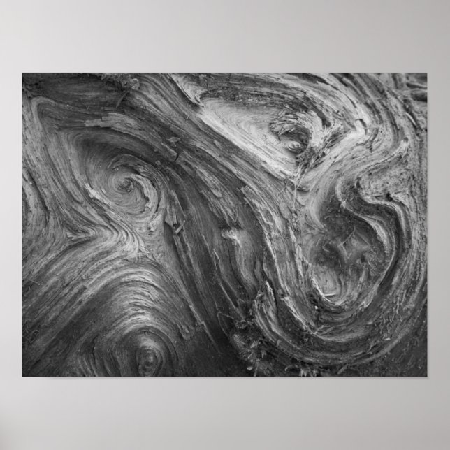 Affiches États-Unis, État de Washington. Douglass Fir (Devant)