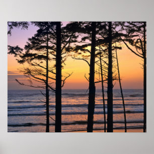 Affiches États-Unis, État de Washington, Pôle olympique. Dé