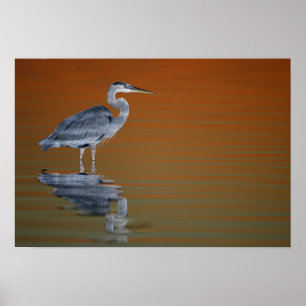 Affiches États-Unis, Floride, Saint-Pétersbourg, Fort De So