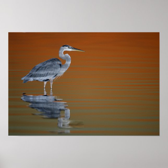 Affiches États-Unis, Floride, Saint-Pétersbourg, Fort De So (Devant)