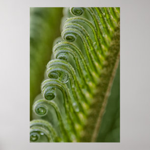 Affiches Etats-Unis, Géorgie, Savannah, Gros Plan Sur De N