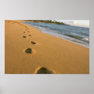 Affiches États-Unis, Hawaï, Kauai, Kapa'a, bord de mer.