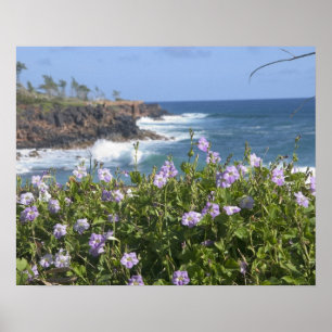 Affiches États-Unis, Hawaï, Kauai, près de Kapaa, nord-oues