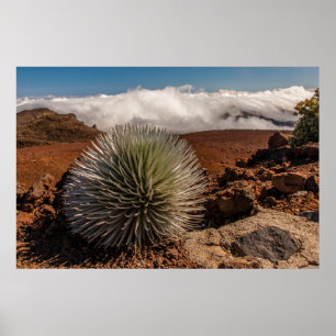 Affiches États-Unis, Hawaï, Maui, Parc national de Haleakal
