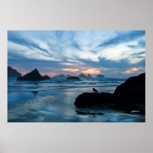 Affiches États-Unis, Oregon, Bandon Beach. Mouette sur un r