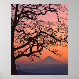 Affiches États-Unis, Oregon, Columbia River Gorge National 