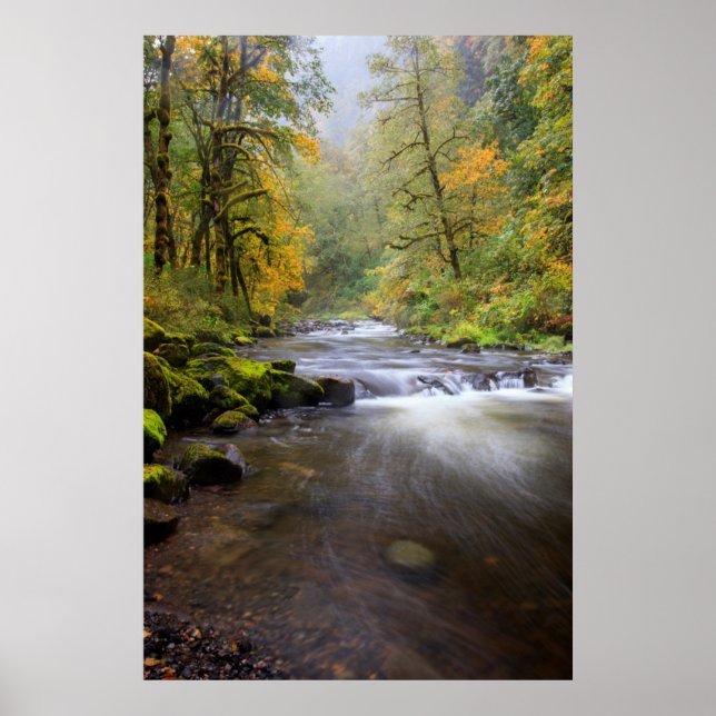 Affiches États-Unis, Oregon, Columbia River Gorge, Tanner C (Devant)