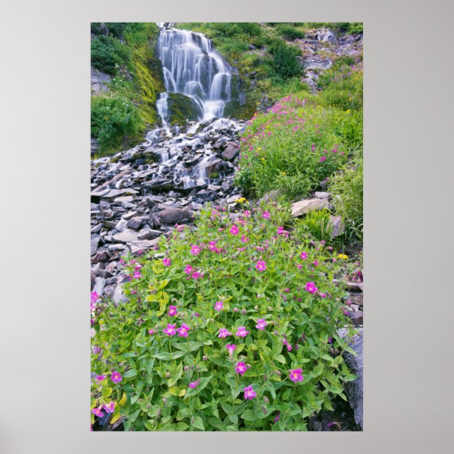 Affiches États-Unis, Oregon, Crater Lake National Park (Devant)
