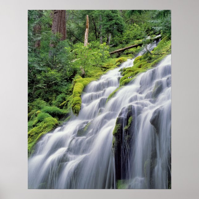 Affiches États-Unis, Oregon, Proxy Falls. Proxy Falls se pr (Devant)