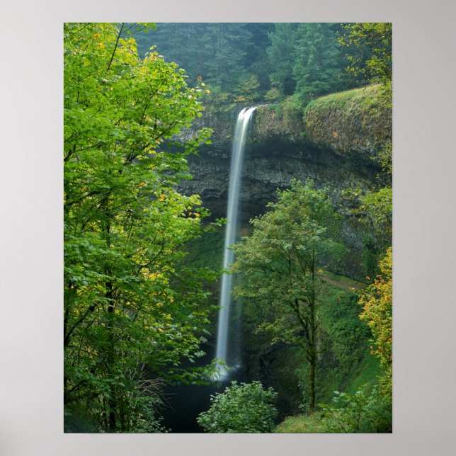 Affiches États-Unis, Oregon, Silver Falls State Park (Devant)