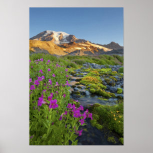 Affiches États-Unis, Parc national du Mont Rainier, Washing
