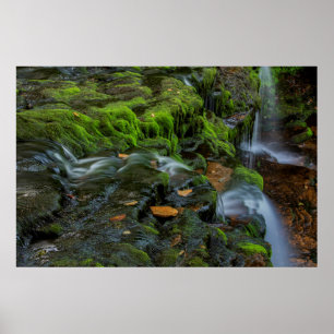 Affiches États-Unis, Pennsylvanie, Benton, Ricketts Glen S