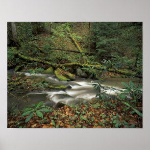 Affiches États-Unis, Tennessee. Big South Fork National Riv
