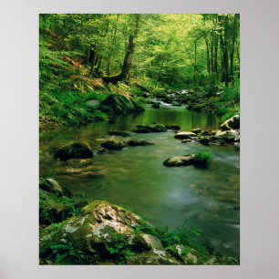 Affiches États-Unis, Tennessee, Grandes Montagnes fumées