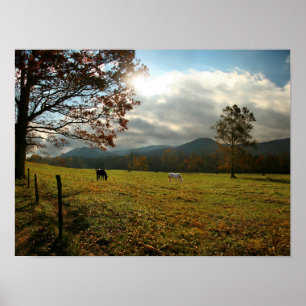 Affiches États-Unis, Tennessee. Horses in Cades Cove Valley
