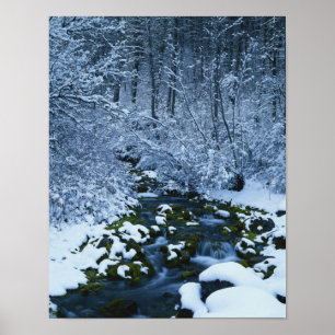 Affiches États-Unis, Utah, forêt nationale de Wasatch-Catch