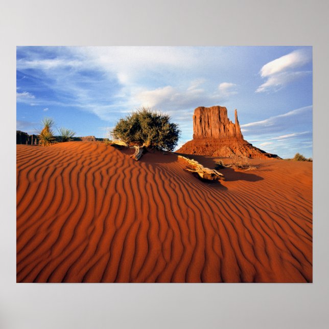 Affiches États-Unis, Utah, Monument Valley. Le vent crée (Devant)
