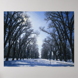 Affiches États-Unis, Utah, Salt Lake City, Liberty Park,