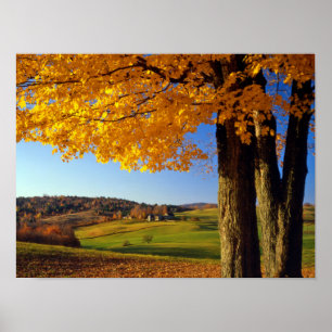 Affiches États-Unis, Vermont. Paysage agricole près de Sout