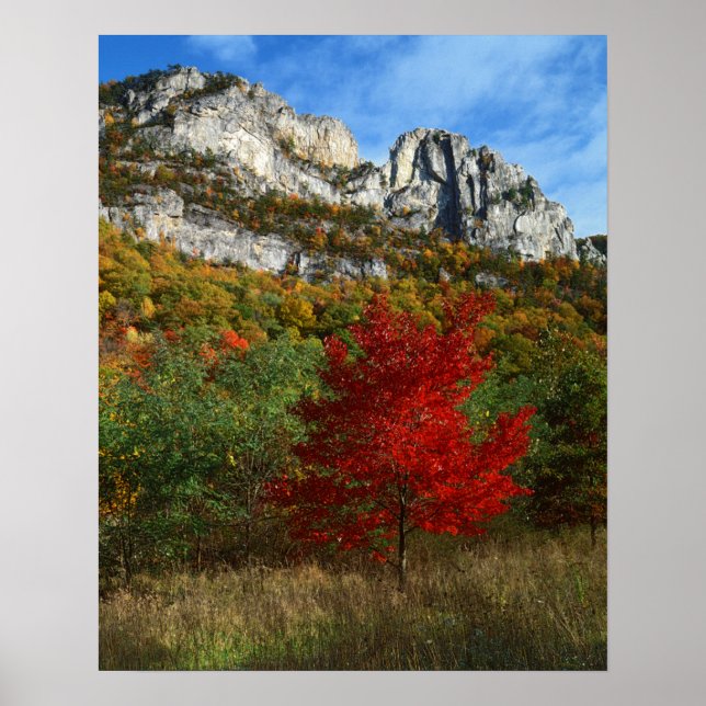 Affiches États-Unis, Virginie-Occidentale, Spruce Knob-Sene (Devant)