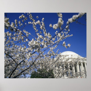 Affiches États-Unis, Washington DC. Festival des fleurs de